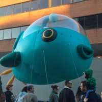 <p>The Octonauts balloon is new for this year&#x27;s UBS Parade Spectacular.</p>