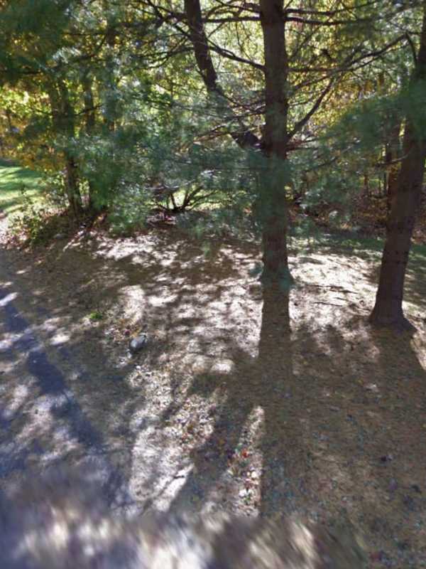 Four Teens Busted For Being In Yorktown Home