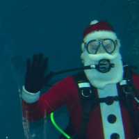 <p>Santa greeted about 40 children, along with their parents, at Maritime Aquarium’s “Ocean Beyond the Sound” exhibit recently.</p>