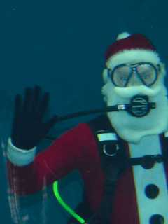 Santa Trades Polar Express For Polar Plunge At Norwalk's Maritime Aquarium