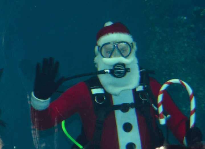 Santa greeted about 40 children, along with their parents, at Maritime Aquarium’s “Ocean Beyond the Sound” exhibit recently.