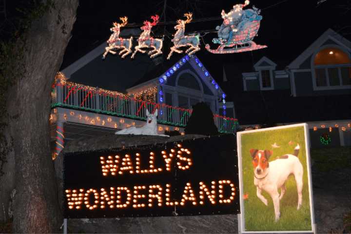 Wally Is The Top Dog At 'Wonderland' Christmas Display In Wilton