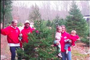 No Fake Firs: Easton's Cut-Your-Own Christmas Tree Farm Sells The Real Deal