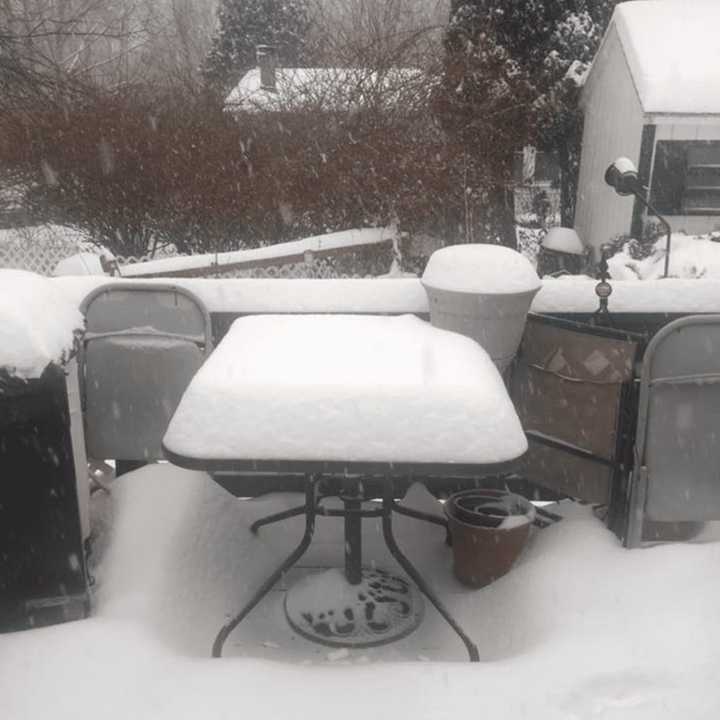 Tina Lynn of Dover Plains snapped this photo just before noon showing well over a half foot of snow accumulation.