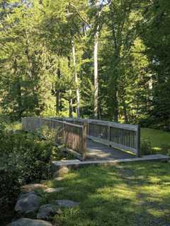 OSI Donates Glenville Woods Preserve to Town of Greenburgh