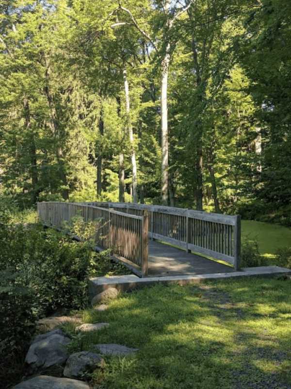 OSI Donates Glenville Woods Preserve to Town of Greenburgh