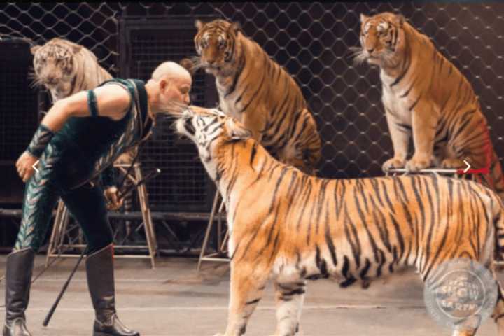 Meadowlands Tradition Over As Ringling Brothers Shuts After 146 Years