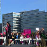 <p>Dita Bhargava, vice chairwoman, Connecticut Democratic Party</p>