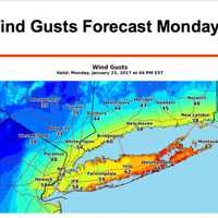 <p>Winds gusts could reach up to 55 miles per hour in parts of the Hudson Valley on Monday.</p>