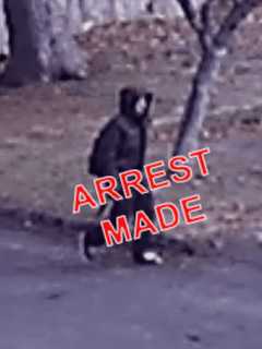 Suspect ID'd In Attempted Shrub Oak Home Burglary