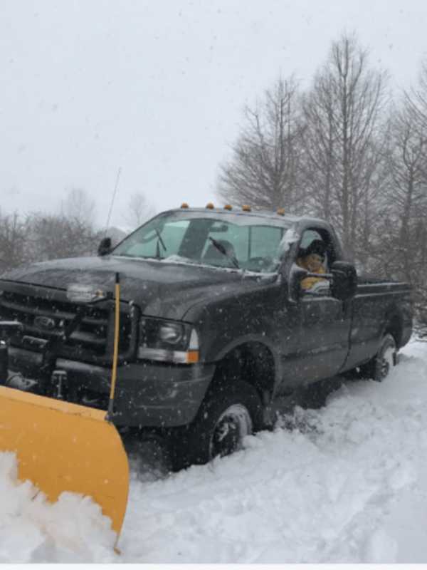 Bedford's Martha Stewart Tweets For Snow Help