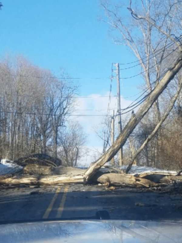 Downed Trees Lead To Road Closures, Power Outages In Yorktown