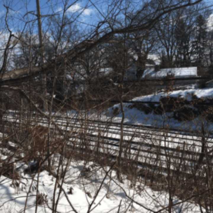 A fallen tree is down on the Metro-North wires on Monday near 120 Hendrie Ave. in Old Greenwich. The problem closed one track and caused delays for much of the afternoon, but it has been cleared in time for afternoon rush hour.