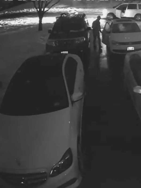Video: Police Seek Public's Help In Pearl River Larceny Investigation