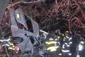 Brothers Killed After Mercedes Crashes Into Tree On Bronx River Parkway