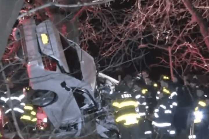 Brothers Killed After Mercedes Crashes Into Tree On Bronx River Parkway
