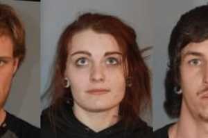 Vigilant Resident Tipping Off Police In Dutchess Burglary Tops News