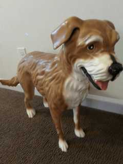 Doggone! Fairfield Man Fetches, Returns Old Navy Canine Mannequin