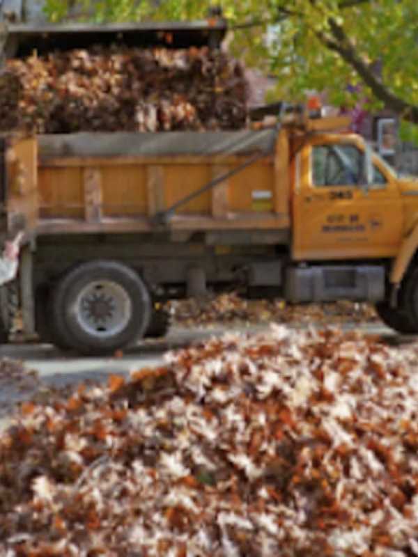 Bagged Leaf Collection Will Resume April 3 In Stratford