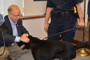 Sniffing Out Crime: Danbury Welcomes Rocky To Police Force