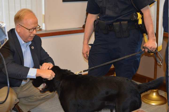 Danbury Mayor Mark Boughton welcomed Rocky, the City of Danbury’s new police dog, in his office at City Hall on Wednesday.