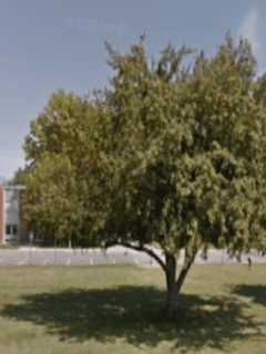 Power Outage Leads To Early Dismissal In Red Hook