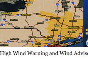 Strong Winds Bring Down Trees, Causing Power Outages, Road Closures