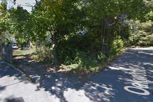Peekskill Firefighters Quickly Douse Pickup Truck, Brush Fire