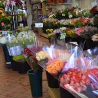 <p>CompoFarm Flowers in Darien and Westport offers free arranging with the purchase of a vase or customers can bring one in.</p>