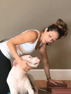 Yoga Goes To The Dogs At New Center In Newtown