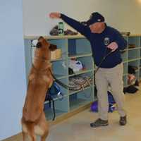 <p>MTA Officer Allen Kirsch puts his partner Sentry through his paces at Staples High School Thursday.</p>