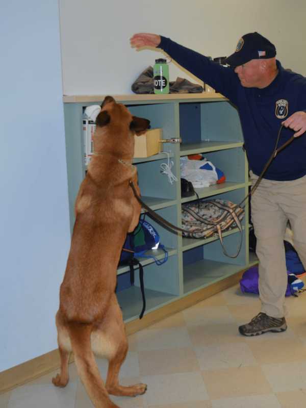 Police K-9s Converge On Westport For First-Ever National Training Program