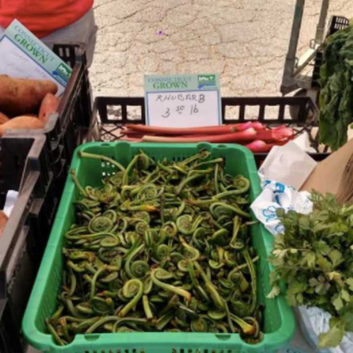 You can even find fiddleheads at the Stratford Farmers Market.