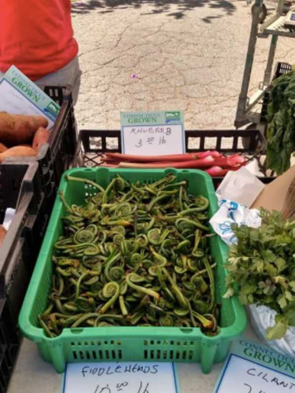 It's Official: Stratford Farmers Market Announces Opening Day
