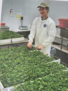 Trumbull Foodies Counting The Days Until Farmers Market Opens