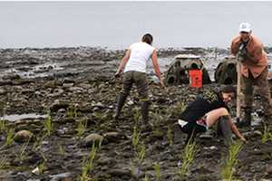 Celebrate Earth Day By Getting Down And Dirty In Stratford
