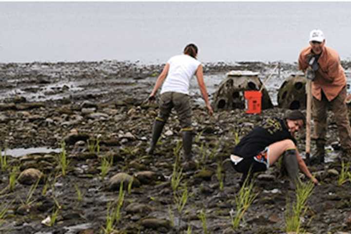 Celebrate Earth Day By Getting Down And Dirty In Stratford