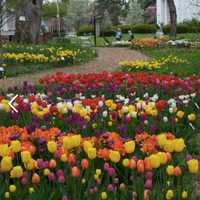 <p>The Colorblends garden and home are open to the public through mid-May.</p>