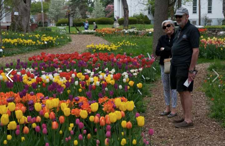 The Colorblends garden and home are open to the public through mid-May.