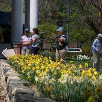 <p>The Colorblends garden and home are open to the public through mid-May.</p>