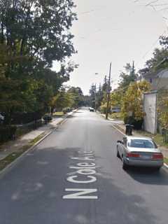 Dog Attack On Hudson Valley 3-Year-Old Sparks Outrage