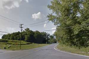 Downed Tree Closes Road In North Salem