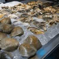 <p>The raw bar is ready at 348 Oyster Bar in Fairfield.</p>