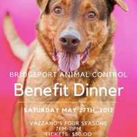 <p>Things are &#x27;ruff&#x27; at Bridgeport Animal Control -- and you can help.</p>