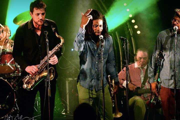 Shelton's Soupstock VIII Unveils Stellar Musical Lineup