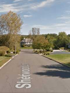 Suspects At Large In Orangetown Home Burglary
