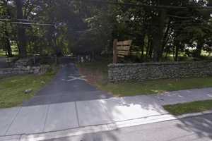 Brush Fire In Rye 'Not Suspicious'