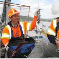 <p>The baby Falcons are tagged for tracking.</p>