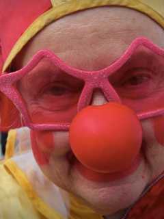 Destination Bridgeport: Barnum Festival Is Fixture Of Seaside Staycation