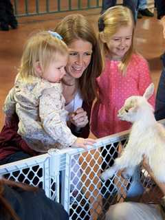 Teens To Keep Up Conservation Work At Beardsley Zoo Thanks To $10K Grant